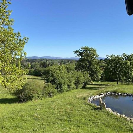 Cozy Apartment In Braunlage Near Forest Hohegeiß 외부 사진