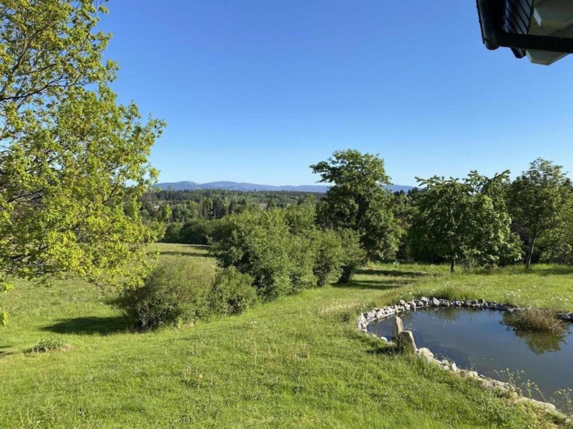 Cozy Apartment In Braunlage Near Forest Hohegeiß 외부 사진