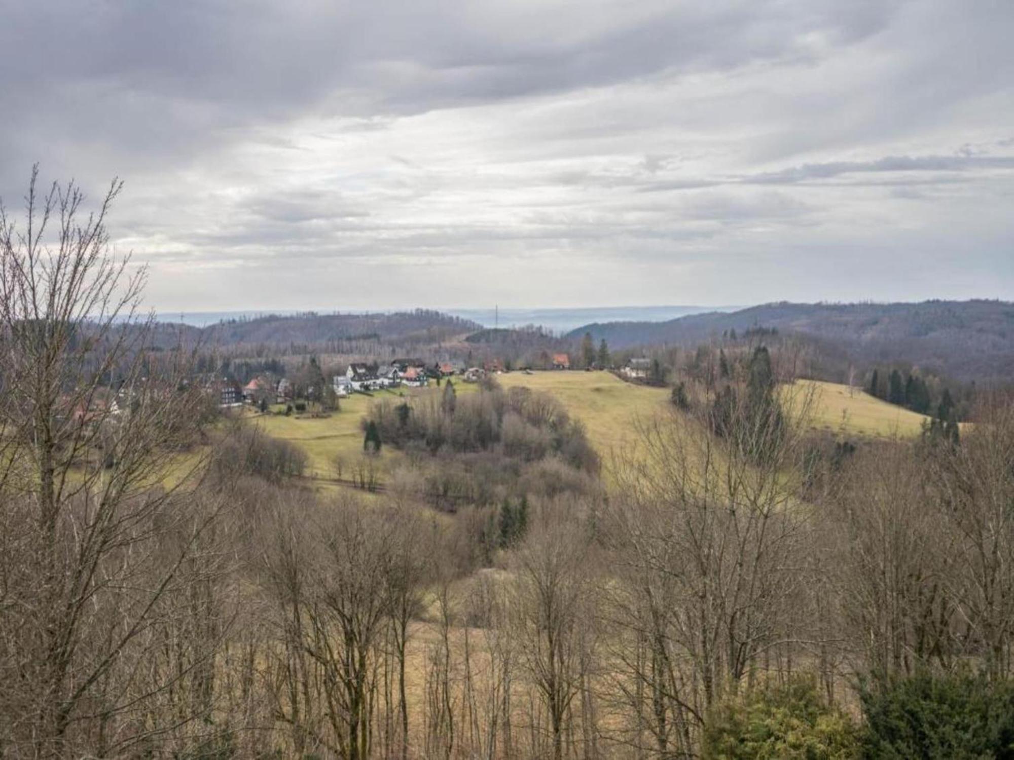 Cozy Apartment In Braunlage Near Forest Hohegeiß 외부 사진