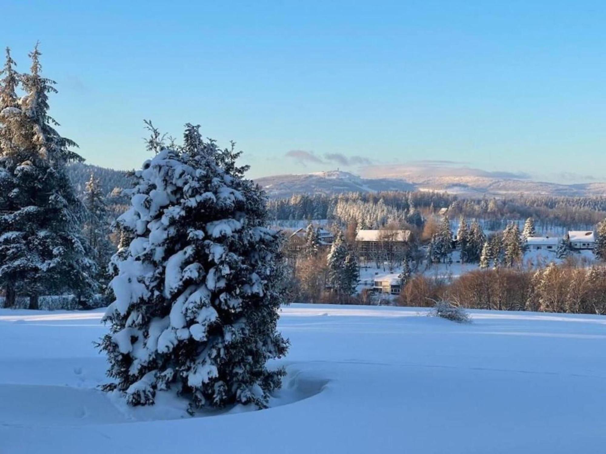 Cozy Apartment In Braunlage Near Forest Hohegeiß 외부 사진