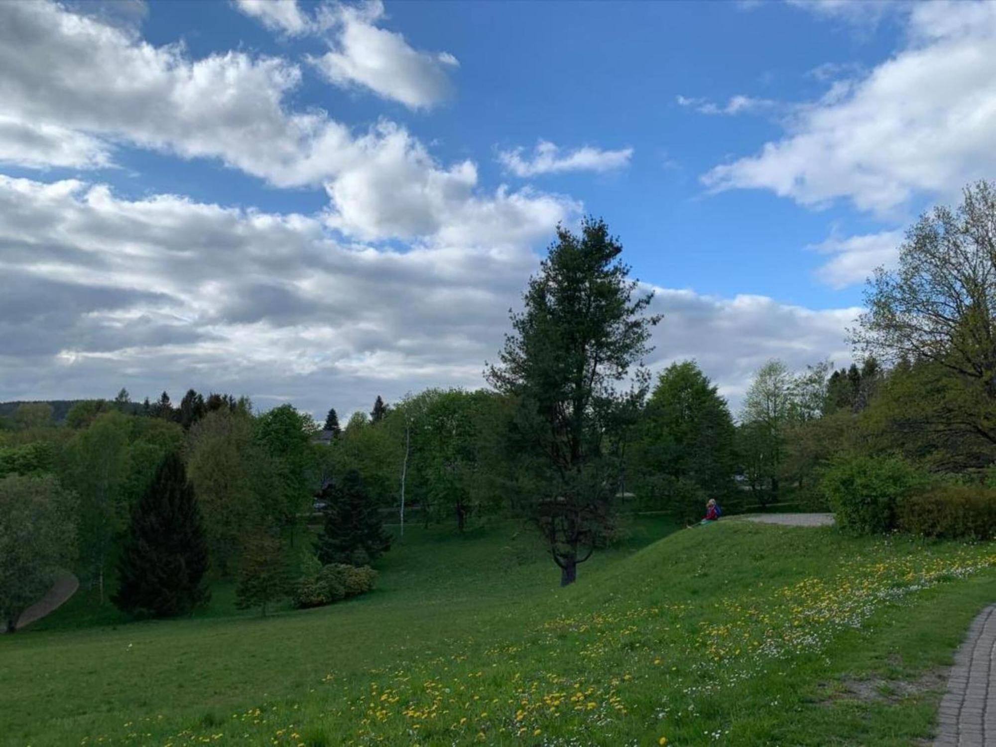 Cozy Apartment In Braunlage Near Forest Hohegeiß 외부 사진