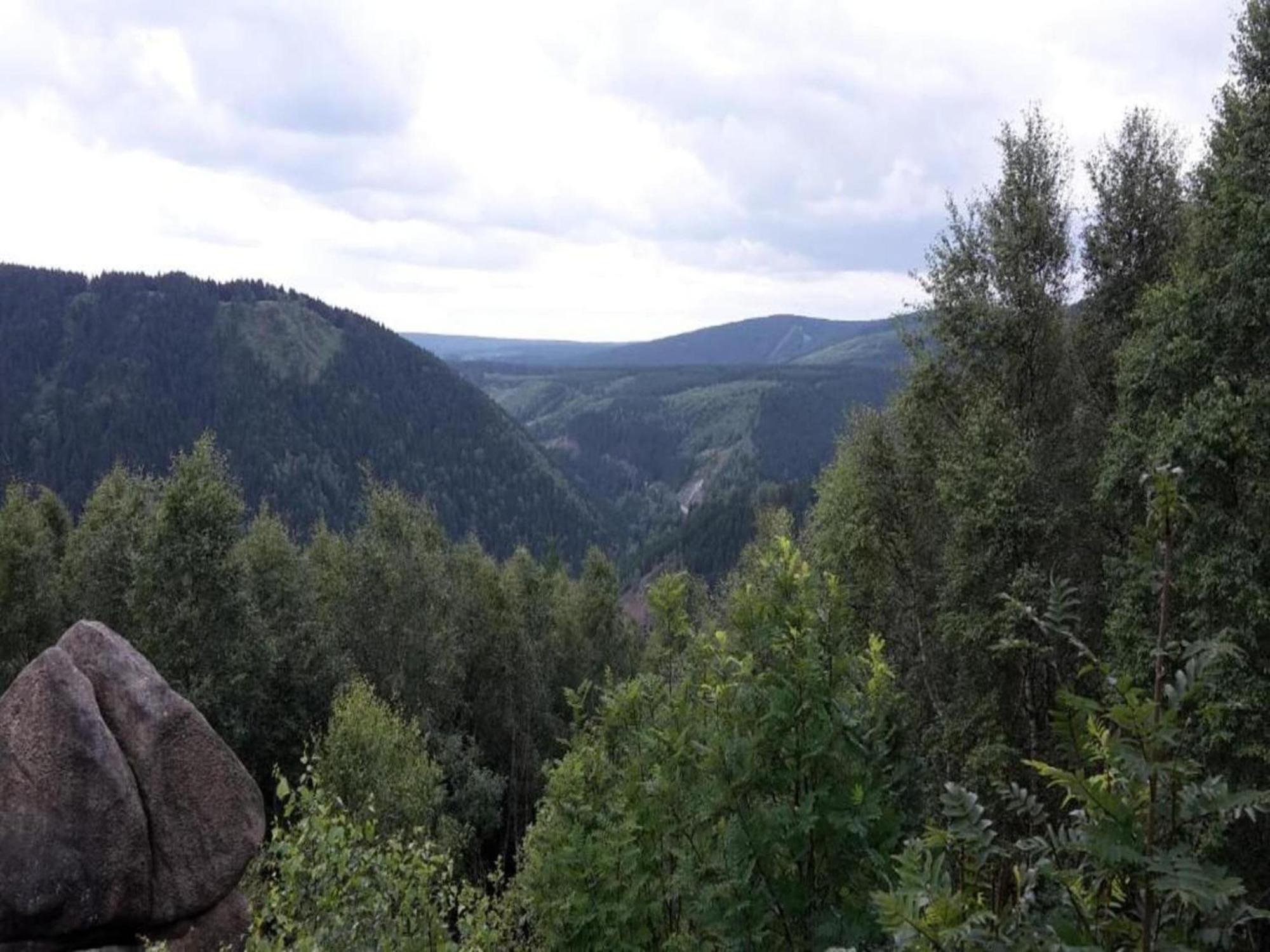 Cozy Apartment In Braunlage Near Forest Hohegeiß 외부 사진