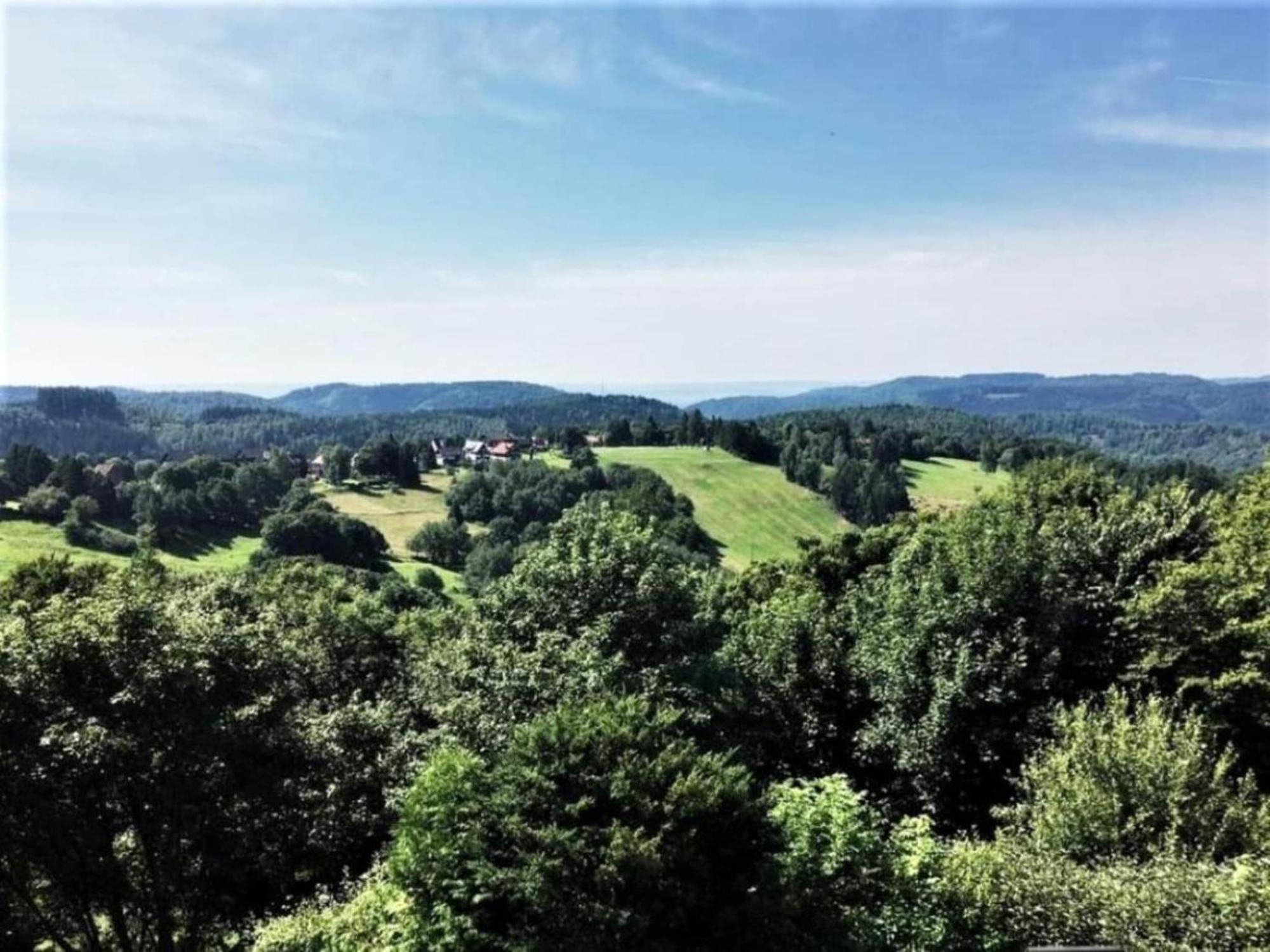 Cozy Apartment In Braunlage Near Forest Hohegeiß 외부 사진