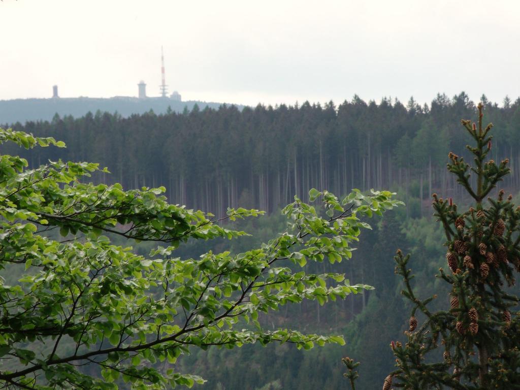 Cozy Apartment In Braunlage Near Forest Hohegeiß 외부 사진